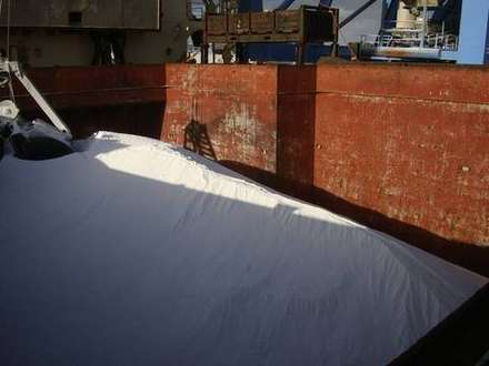 Bulk cargo in the hold